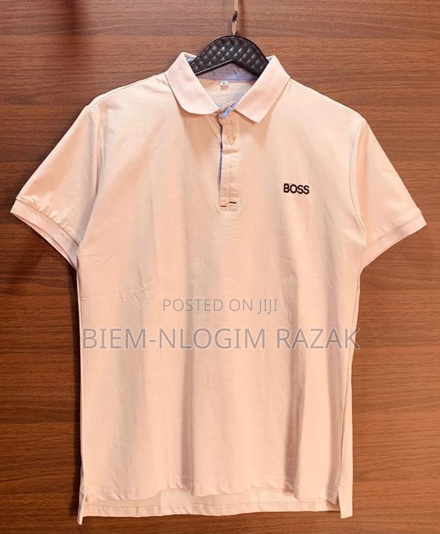 Original Crocodile, Zara,Amiri, and Nike Lacoste Available · Photo 5