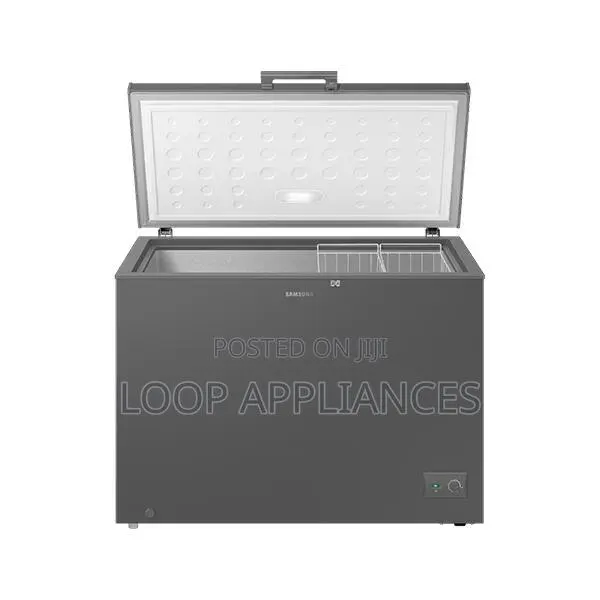 Power Freeze 287 Litres Samsung RI70F29V1GAGH Chest Freezer · Photo 1