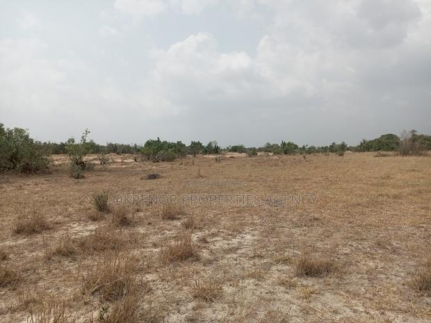 Land for Sale at Sege · Photo 4