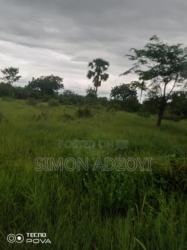 20,000+ Acres Farm Land Available For · Photo 1