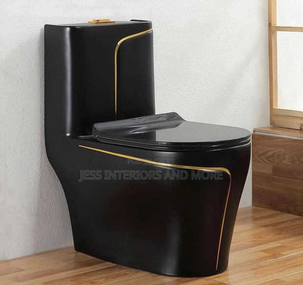 Toilet Bowl/ Water Closet(Black) · Photo 1