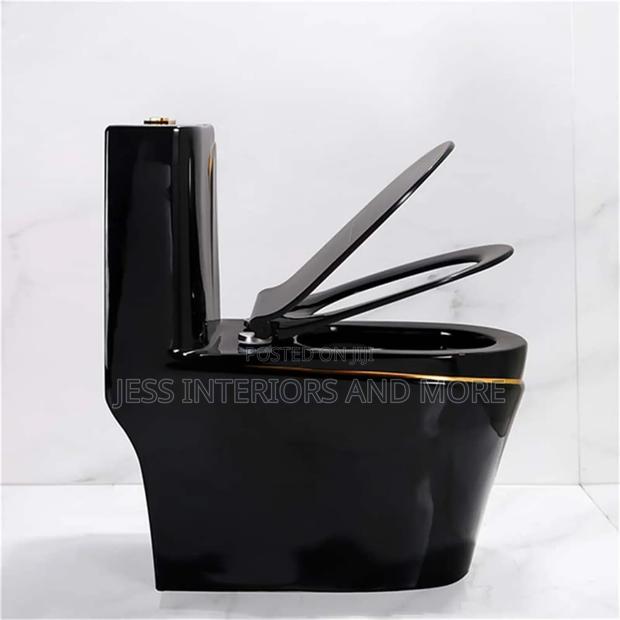 Toilet Bowl/ Water Closet(Black) · Photo 3