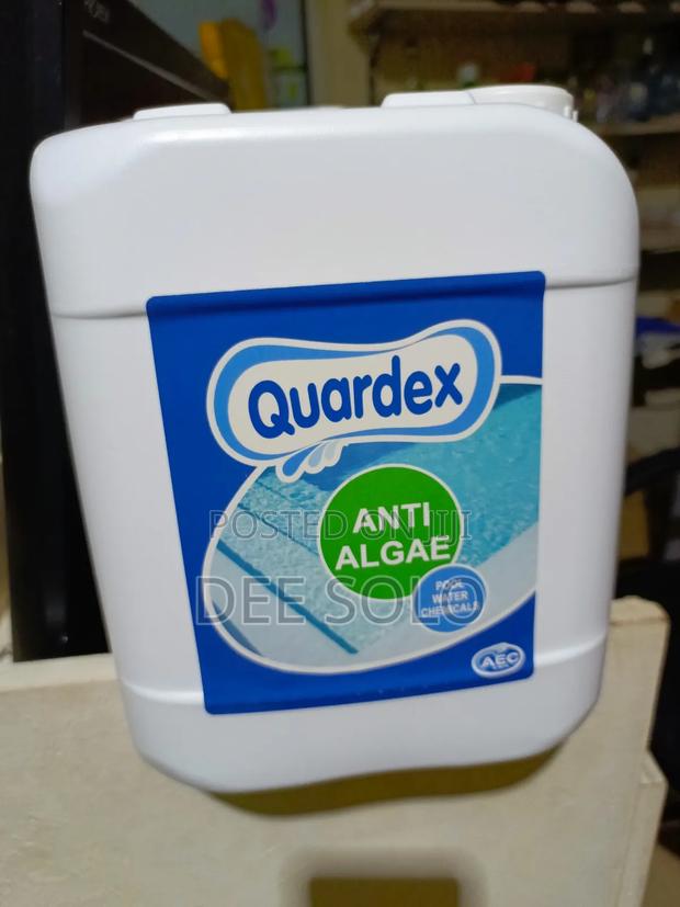 Algaecid Swimming Pool Algae Remover · Photo 1