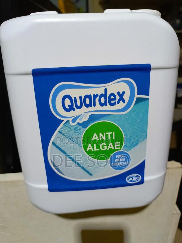 Algaecid Swimming Pool Algae Remover · Photo 3