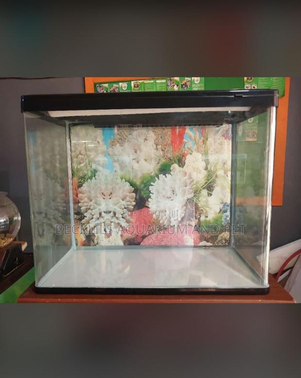Aquarium Glass Tank · Photo 1