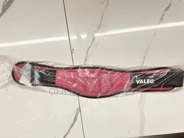 Valeo Lumbar Support Belt Brace · Photo 1