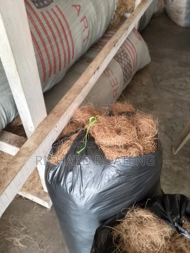 Coconut Fiber · Photo 1