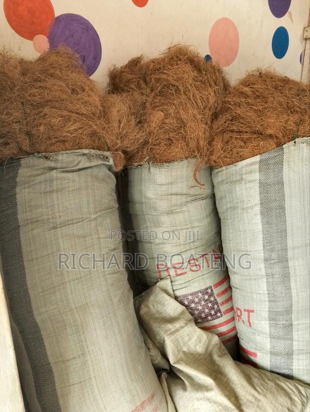 Coconut Fiber · Photo 3