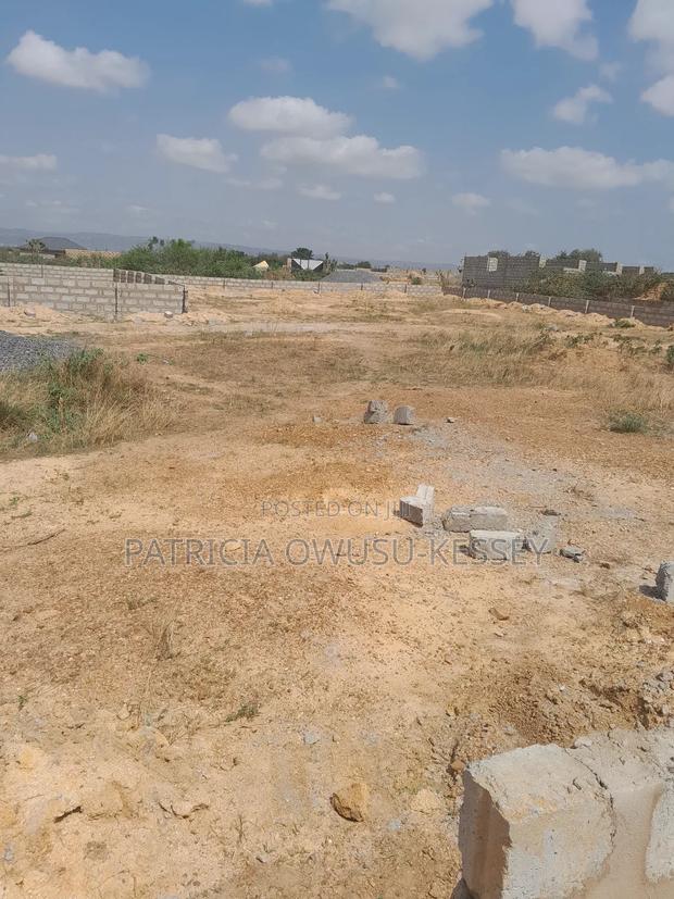 Full Sized Plots of Land for Sale at Appolonia City · Photo 4