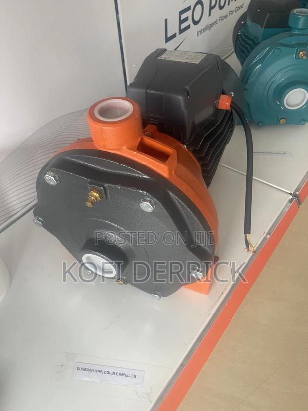 4hp Water Pump - Leo Water Pump 4hp (Double Impeller) · Photo 2