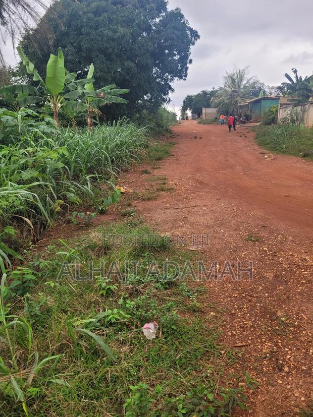 Two Plots of Land for Sale at Santa'si Darko · Photo 1