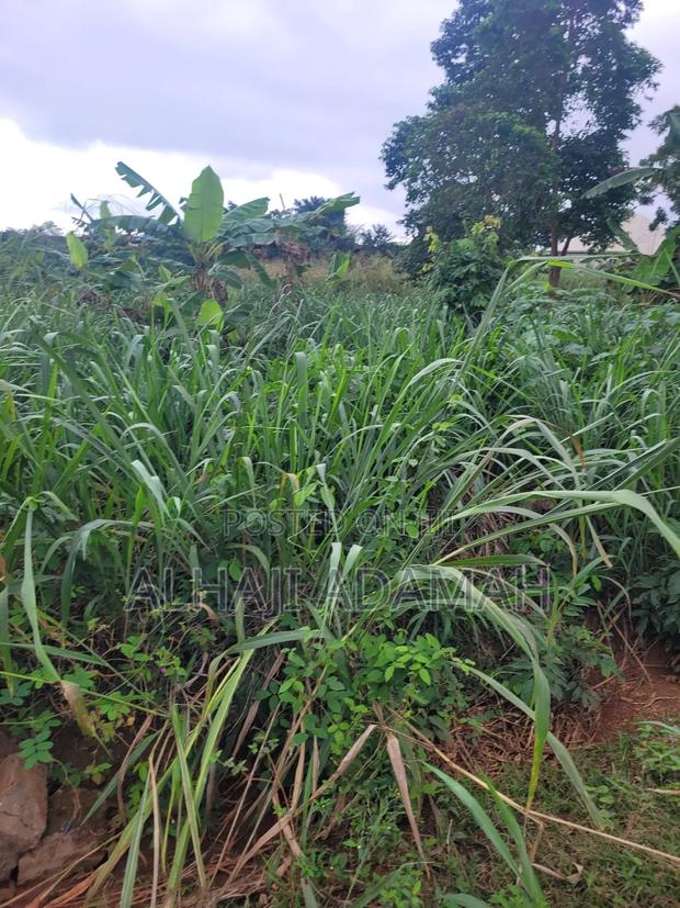 Two Plots of Land for Sale at Santa'si Darko · Photo 3
