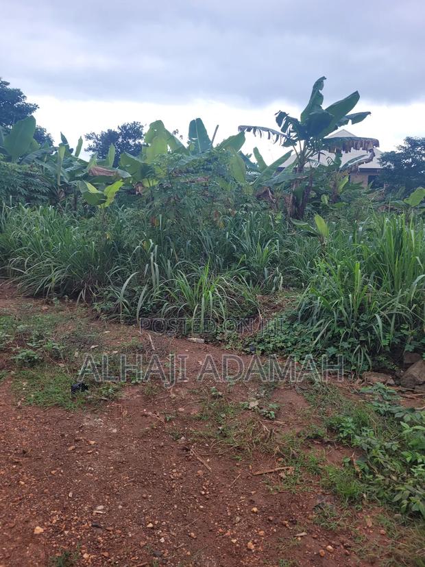 Two Plots of Land for Sale at Santa'si Darko · Photo 6