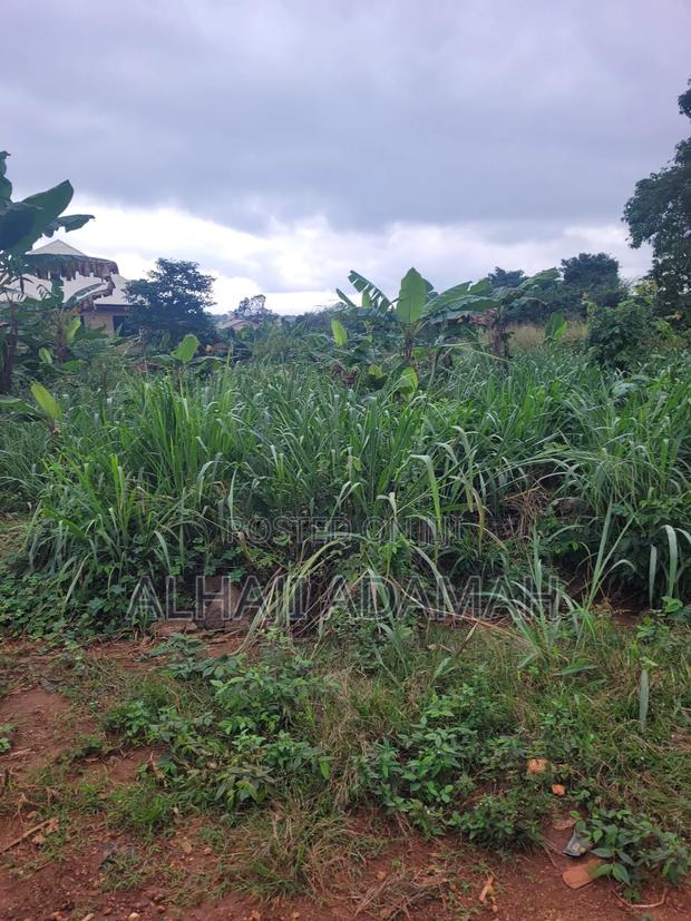 Two Plots of Land for Sale at Santa'si Darko · Photo 7