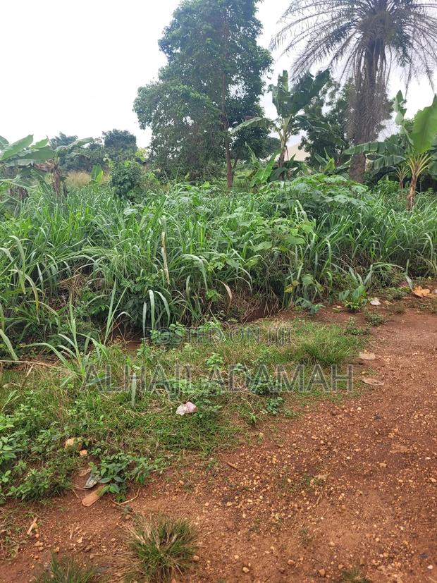Two Plots of Land for Sale at Santa'si Darko · Photo 8