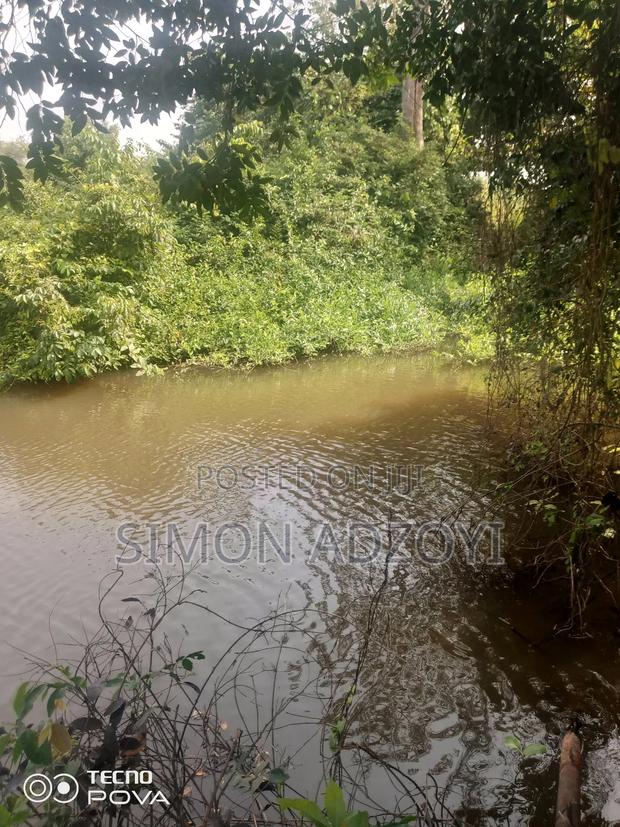 Small Scale Gold Mining Concession · Photo 3