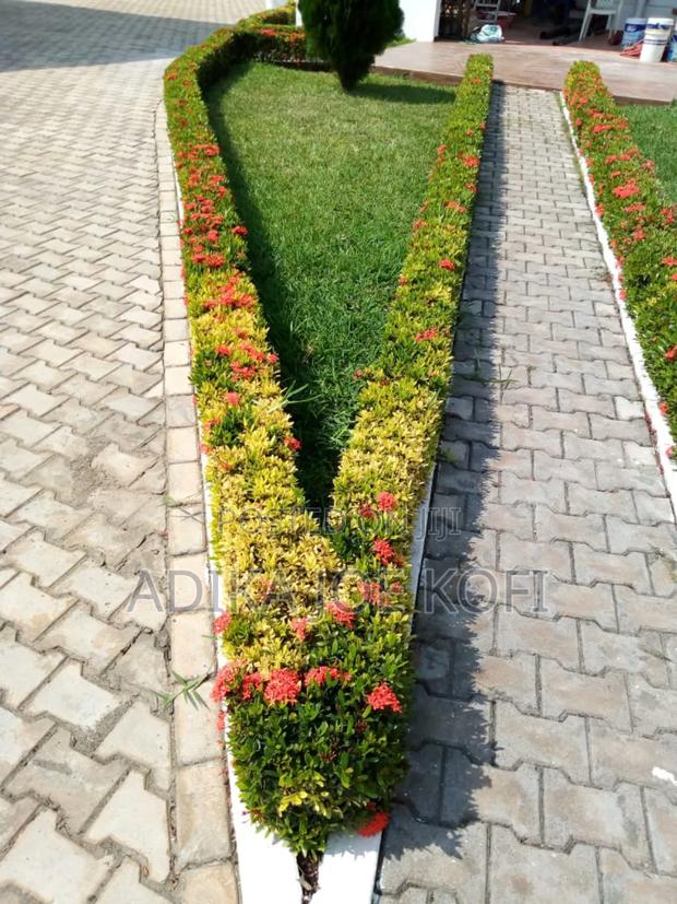 Joefel Landscaping "Go Green" · Photo 2