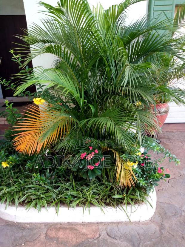 Joefel Landscaping "Go Green" · Photo 3