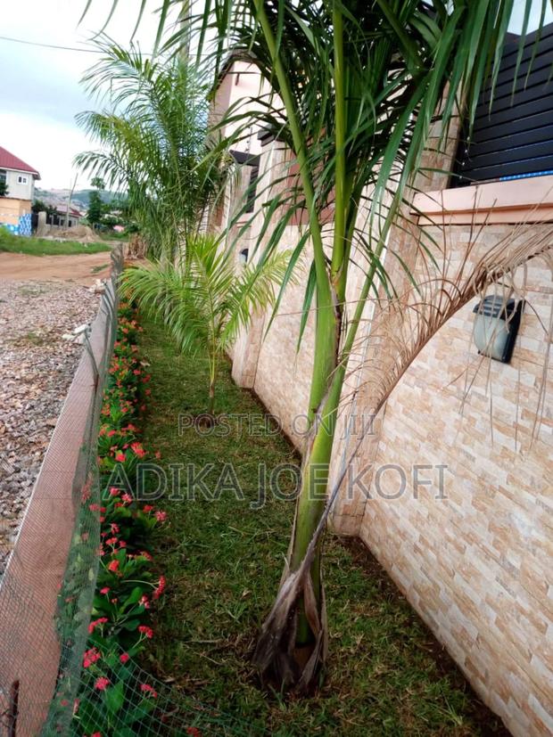 Joefel Landscaping "Go Green" · Photo 4