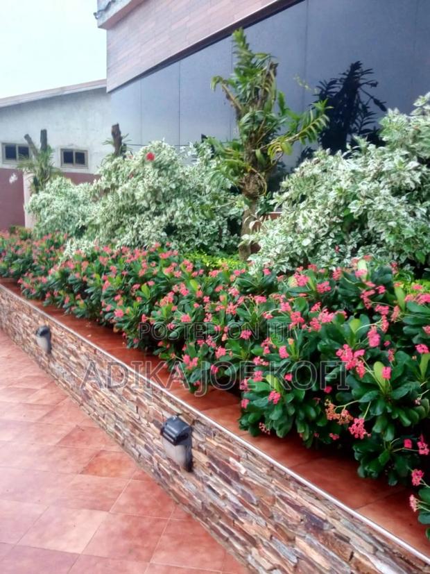 Joefel Landscaping "Go Green" · Photo 6
