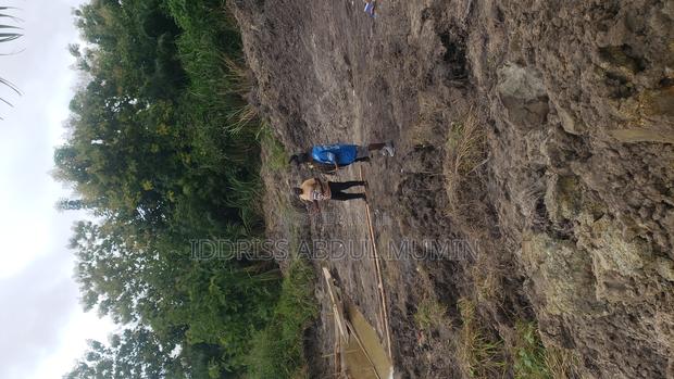 A Surveyor, Deals in Selling and Buying · Photo 2
