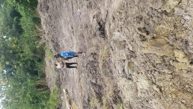 A Surveyor, Deals in Selling and Buying · Photo 3