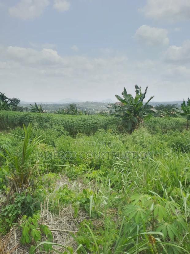 Registered 20 Acres of Farmland for Sale at Asuboi Otumfo · Photo 1
