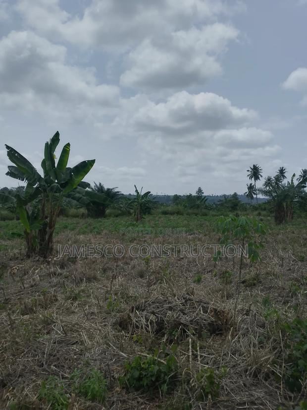 Registered 20 Acres of Farmland for Sale at Asuboi Otumfo · Photo 2