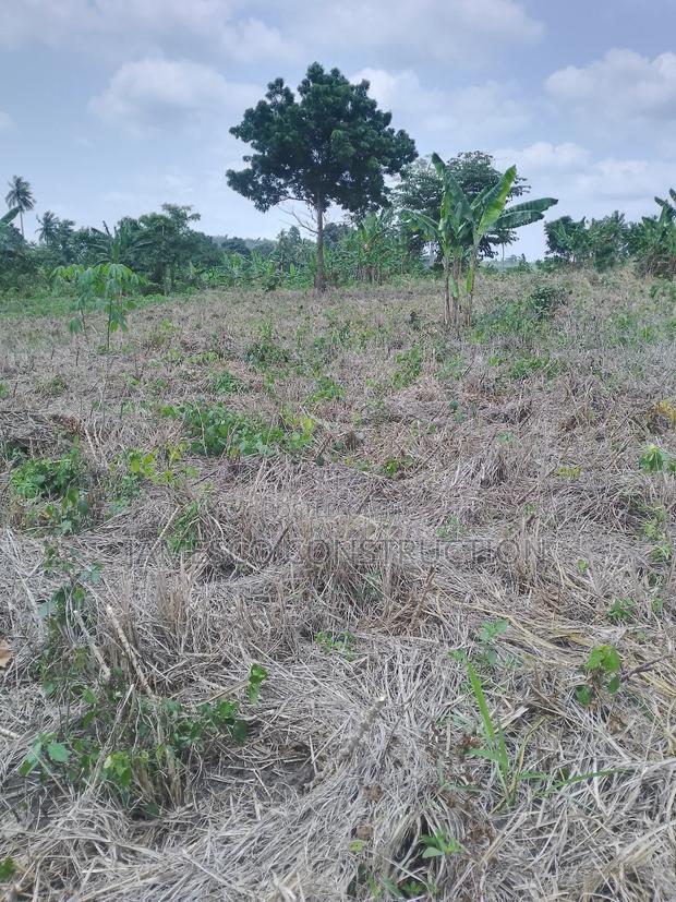 Registered 20 Acres of Farmland for Sale at Asuboi Otumfo · Photo 3
