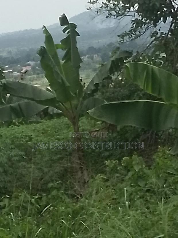 Farmland for Sale at Asuboi Annum · Photo 2