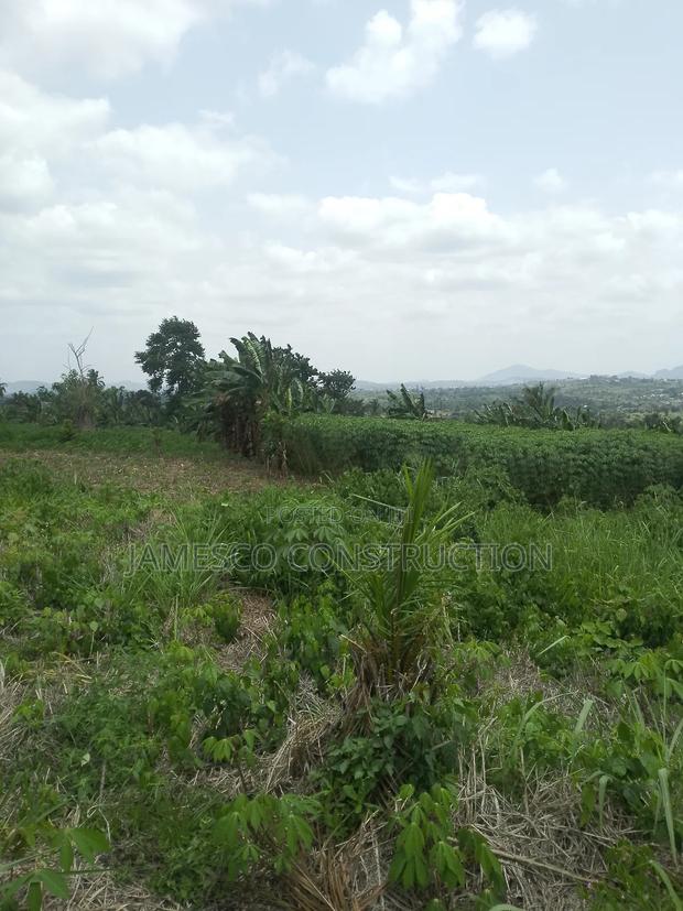 Farmland for Sale at Asuboi Annum · Photo 3