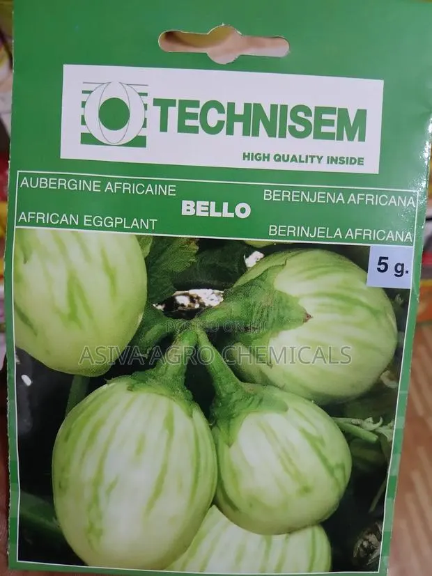 Eggplant Bello Seeds. · Photo 1