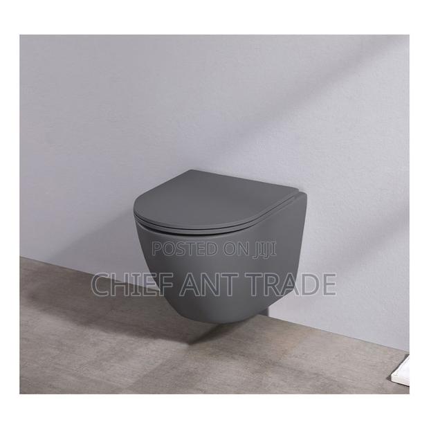 Wall Hung Wc. Concealed Toilet Seat. Wall · Photo 1