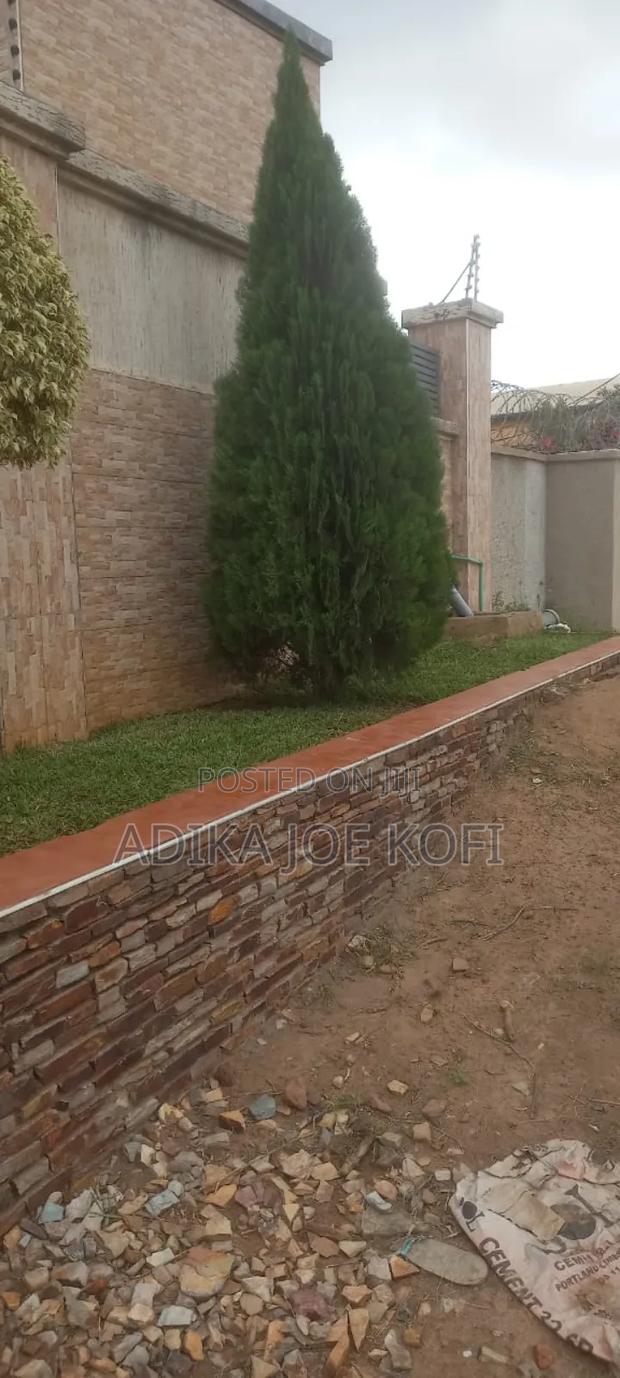 Landscaping and Tilling Work by Joefel Decor · Photo 1