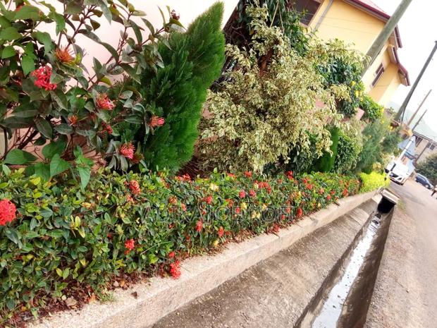 Landscaping and Tilling Work by Joefel Decor · Photo 2