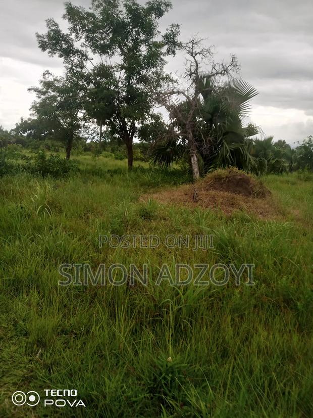 3000 Acres of Farm Land · Photo 2