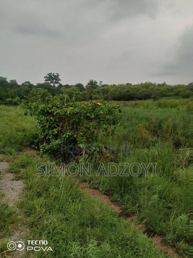 Farm Land For Sale · Photo 3