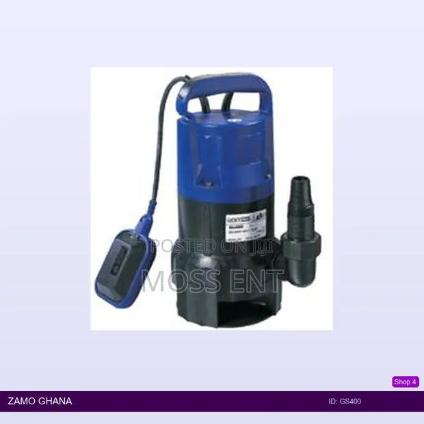 Garden Submersible Pump 0.6 Hp - Gs400 · Photo 1