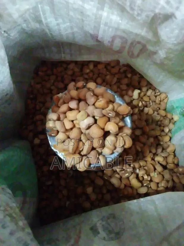 Nigerian Brown Beans · Photo 1