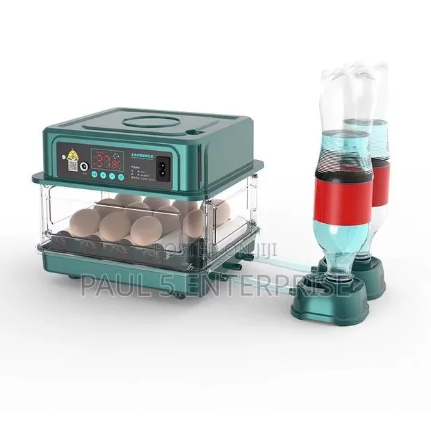 Wholesale and Retail 30eggs Incubator Fully Automated Dual Power · Photo 4