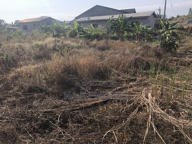 Two Plots of Land for Sale at Gomoa Buduburam · Photo 3