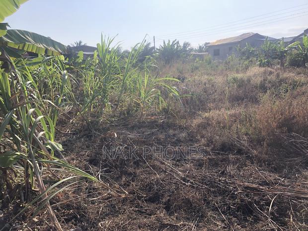 Two Plots of Land for Sale at Gomoa Buduburam · Photo 4