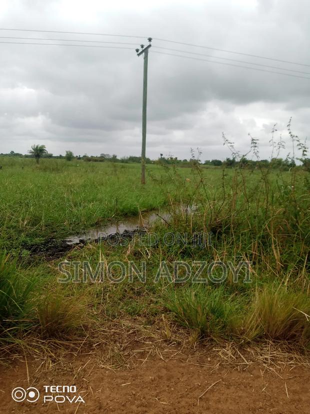5000+ Acres of Rice Farming Land for Long Term Lease · Photo 2