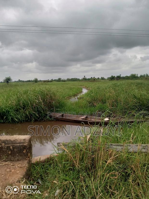 5000+ Acres of Rice Farming Land for Long Term Lease · Photo 3