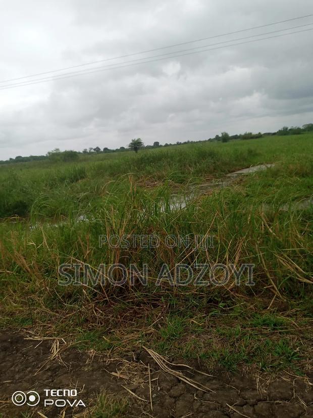 5000+ Acres of Rice Farming Land for Long Term Lease · Photo 4
