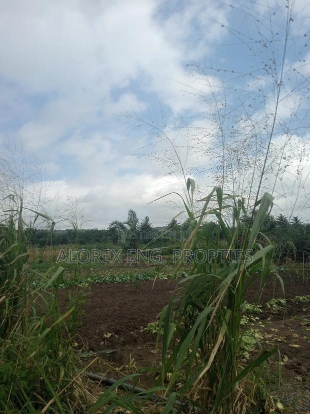 Acre of Land for Sale Aburi Nsawam Road · Photo 2