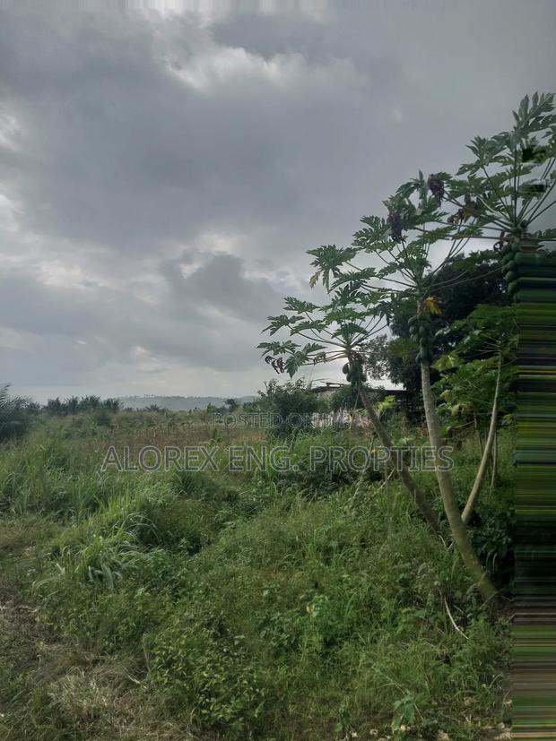 Acre of Land for Sale Aburi Nsawam Road · Photo 5