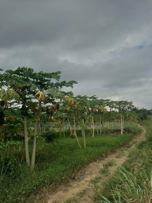 Acre of Land for Sale Aburi Nsawam Road · Photo 6