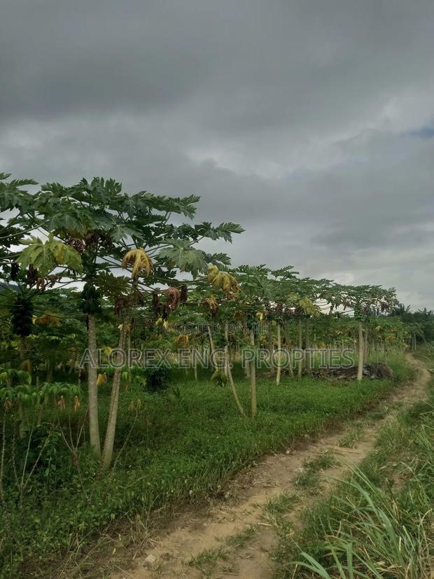 Acre of Land for Sale Aburi Nsawam Road · Photo 7