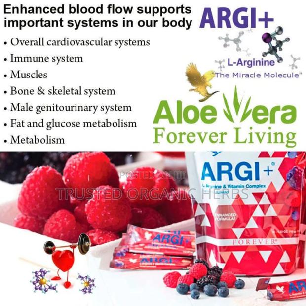 Cardiovascular Health/Blood Circulation Within Your Vessel · Photo 2